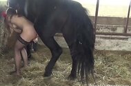 Zoo Porn You