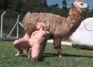 Whore from the farm really likes some zoo fucking