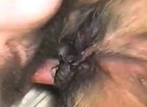 Man with a big cock plays with his dog