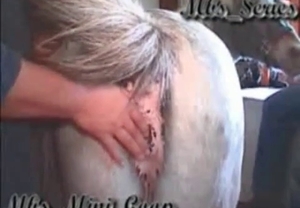 The asshole of a horse gets totally worshipped