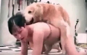 The hole of an animal is gaped hard from behind