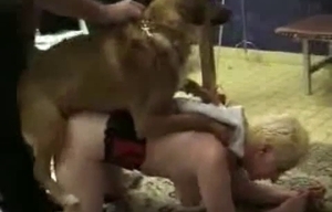 Sensual dog pounds a slutty MILF in homemade ZOO XXX