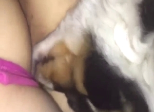 Teen's ass is getting polished by a sexy mutt here