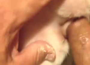 Close-up fucking with a dog's eager fuckhole
