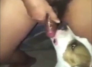 Sexy dog is going to worship this guy's hefty cock